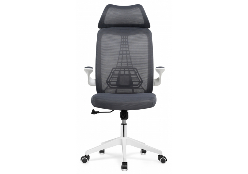 Компьютерное кресло Lokus dark gray (66x65x114)